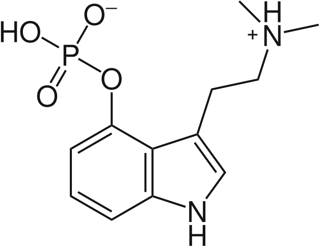 Psilocybin Structure - Psilocybin Molecule (640x493), Png Download
