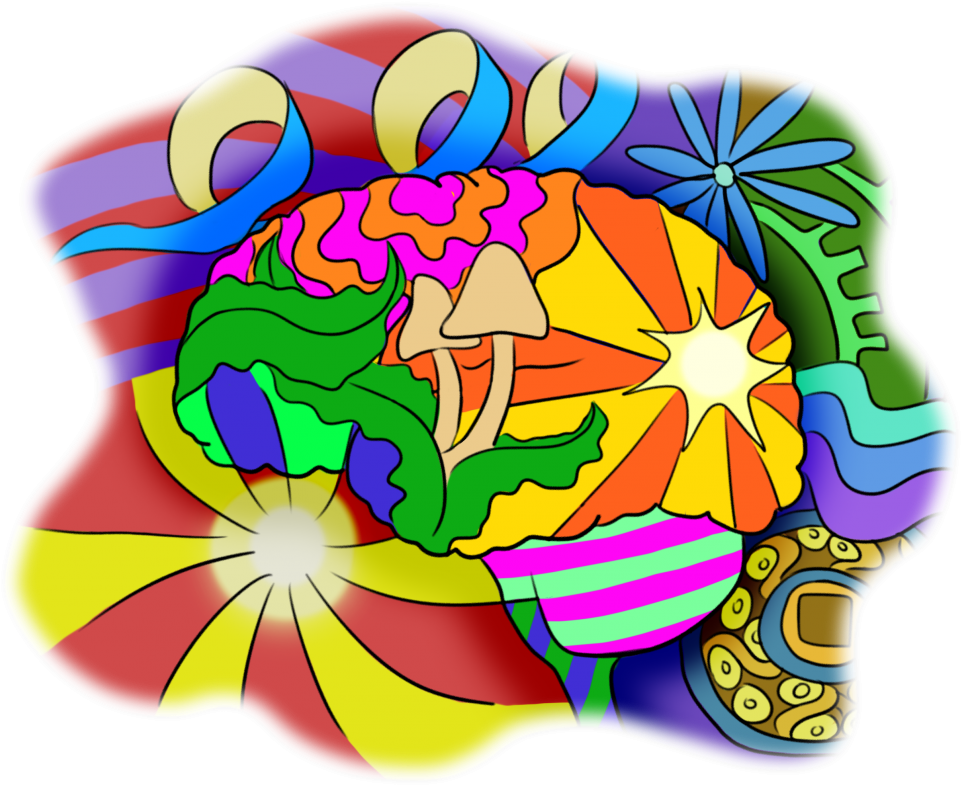 Much Ado About Mushrooms - Illustration (1080x873), Png Download