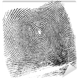 Fingerprint (400x400), Png Download