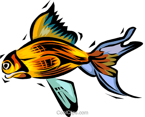 Pez Dorado Libres De Derechos Ilustraciones De Vectores - Illustration (480x389), Png Download