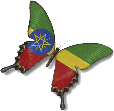 Ethiopia - Bangladesh Flag Butterfly (450x436), Png Download