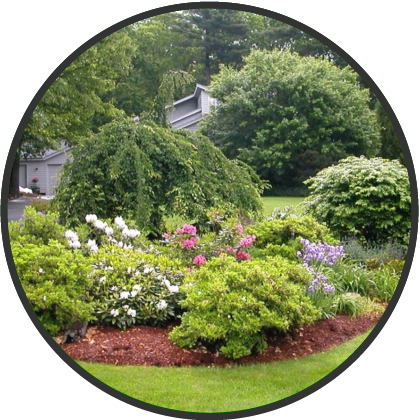 Book And Appointment - Most Beautiful Plant Landscape (420x420), Png Download