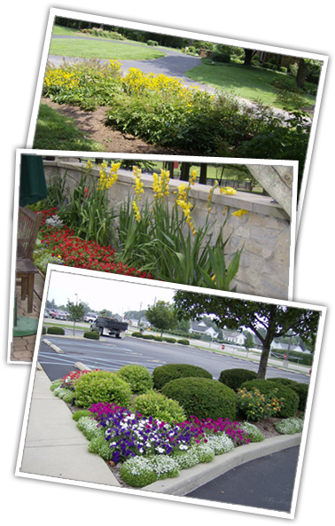 Finely Crafted Landscaping Reveals Your Property's - Yard (390x607), Png Download