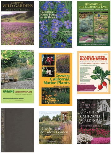 Northern California Gardening - Reimagining The California Lawnwater-conserving Plants (436x542), Png Download