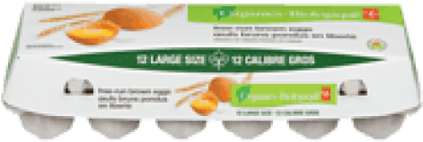 Eggs Brown Free-run Organic Large Dozen Pc - President's Choice Organic Free Run Eggs (500x500), Png Download