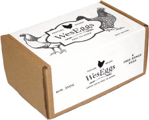 6 Free Range Eggs - Tesco Medium Free Range Eggs 6 Pack (520x440), Png Download