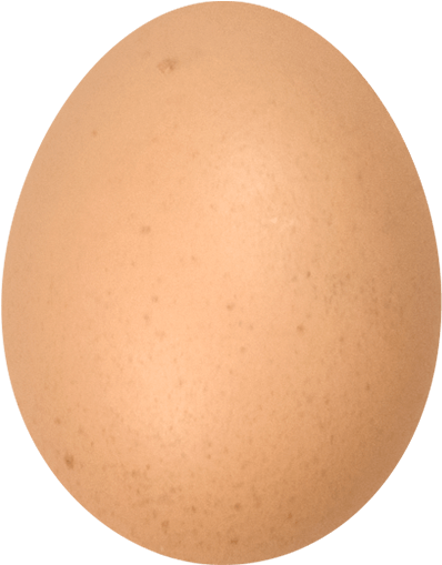 Pe Pace Egg 3 Pe Pace Egg 2 - Circle (405x540), Png Download