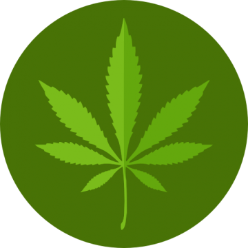 Cannabis Nature - Marijuana Icon (360x360), Png Download