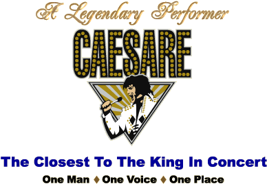 The Closest To The King In Concert - El Rey En Concierto (400x300), Png Download