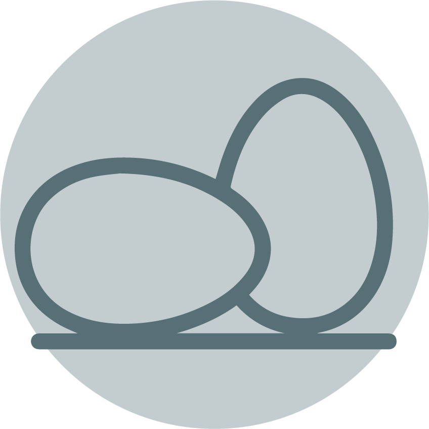 Eggs Coupons - Don Francisco's Coffee (848x848), Png Download