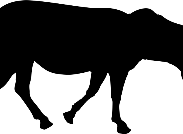 Zebra Silhouette Cliparts - Zebra Silhouette (640x480), Png Download