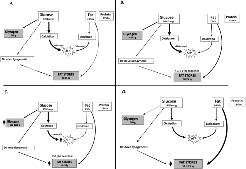 Metabolic Fate Of Carbohydrates And Fats After Meals - Carbohydrate (850x583), Png Download