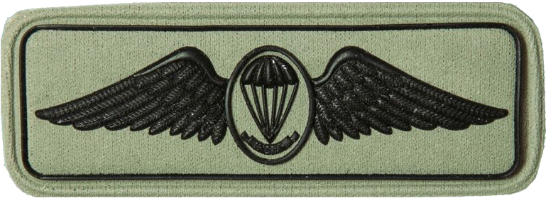 Sandf Qualification Paratrooper Freefall Instructor - Paratrooper (780x287), Png Download