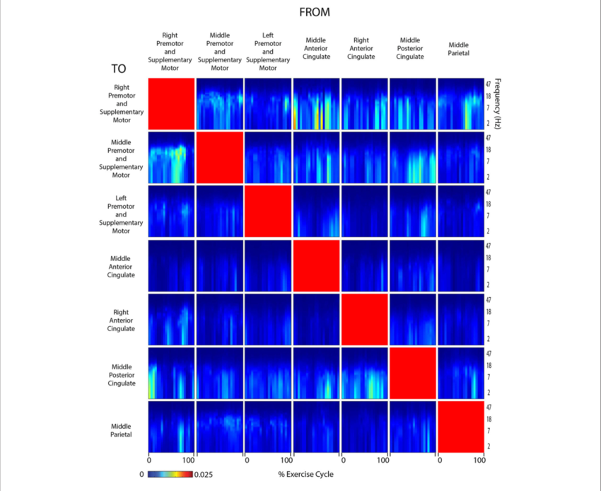 Connectivity Active Arms - .org (850x694), Png Download