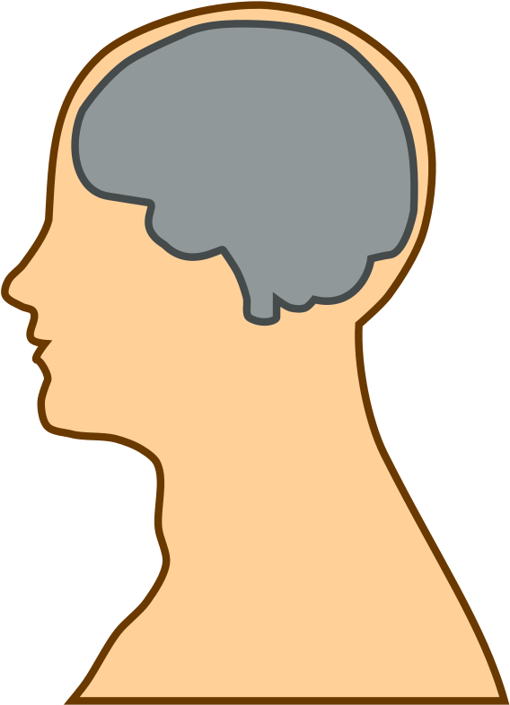 Free Simple Brain Silhouette Clip Art U0026middot Brain7 - Low Intelligence Clipart (577x800), Png Download