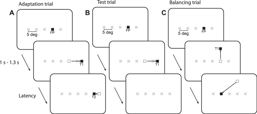 Gray Squares Show All 5 Possible Initial Eye Positions - Trial (850x377), Png Download