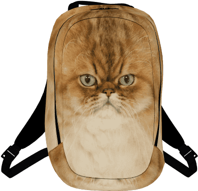 Fluffy Cat Tech Backpack - Backpack (590x590), Png Download