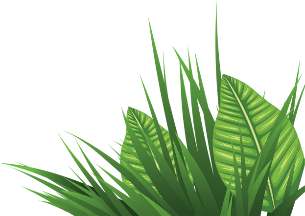 Tropical Fresca Decoración Con Hoja De Hierba - Png Tropical Vector Gratis (640x640), Png Download