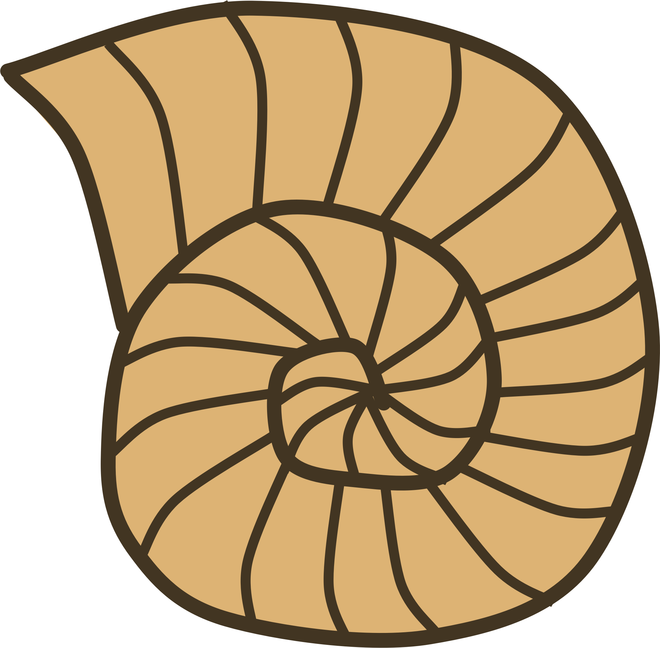 Shell Clipart - Snail Shell Clipart (2098x2062), Png Download
