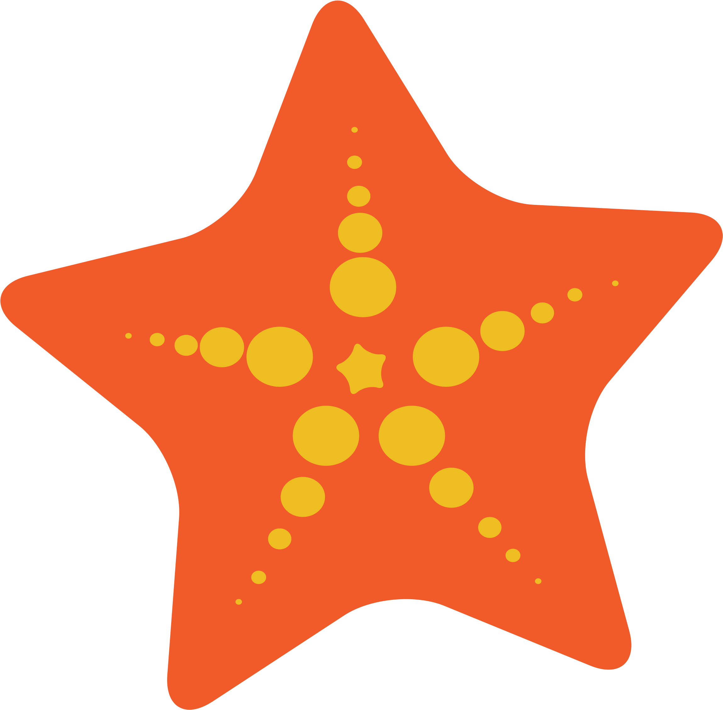 Http Images Clipartpanda Com - Desenho Vetor Estrela Do Mar Png (2400x2333), Png Download