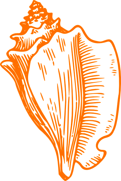 Orange Clipart Seashell - Conch Shell Clip Art (396x592), Png Download