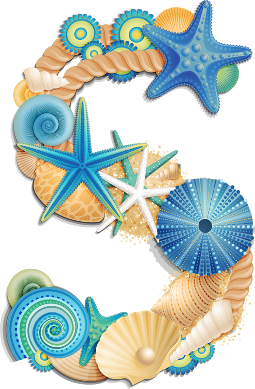 Фото, Автор Arana На Яндекс - Alphabet Sea Shells (525x800), Png Download