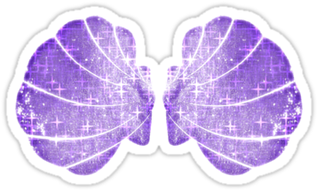 Purple Seashell Png Pin Mermaid Shell Bra Unisex V T Shirt Full Size Png Download Seekpng