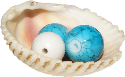 Trendy Tubes She Sells Sea Shells By The Sea Shore - Seashell (522x384), Png Download