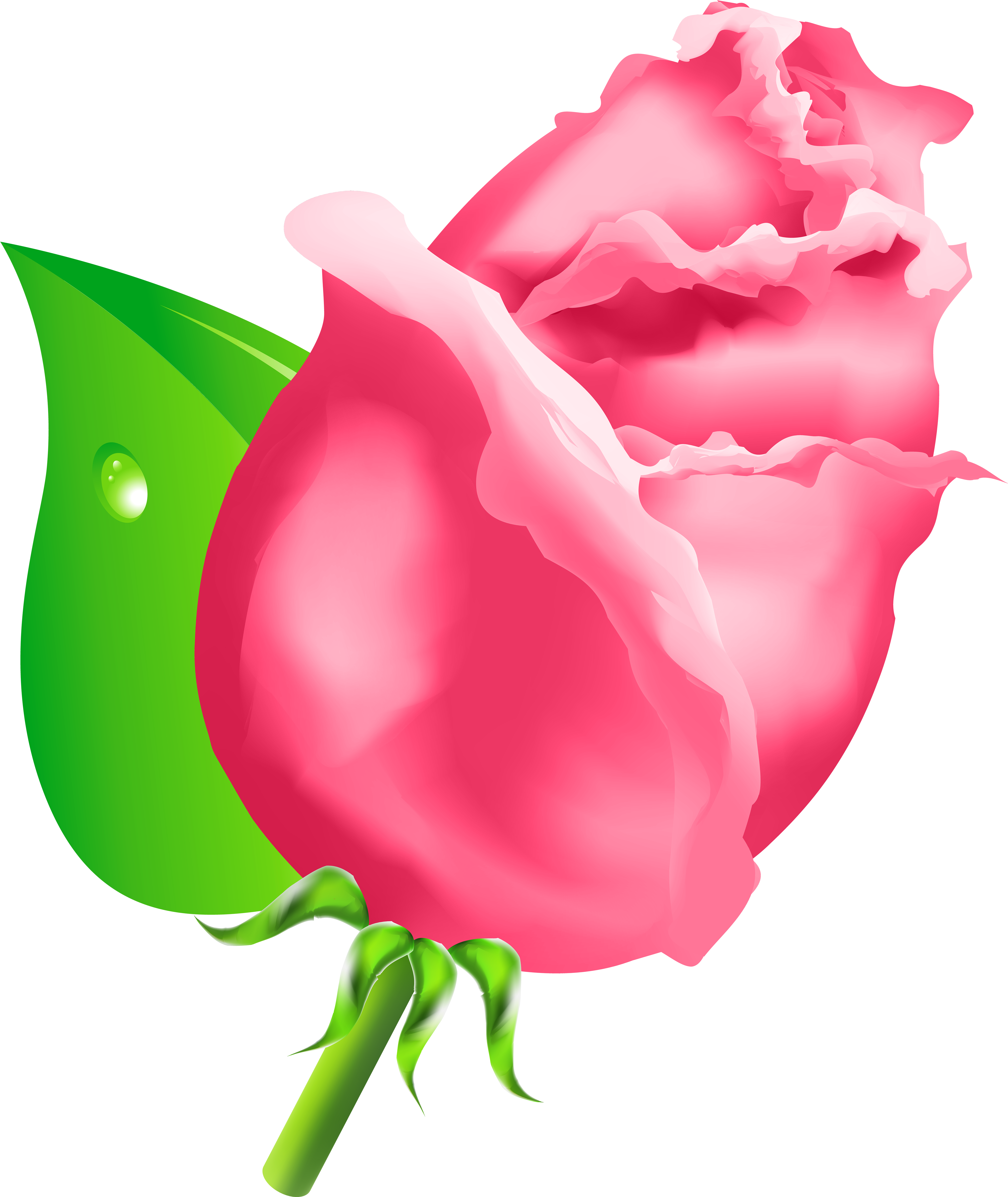 Free Png Rose Bud Png Images Transparent - Clip Art Rose Bud (480x571), Png Download