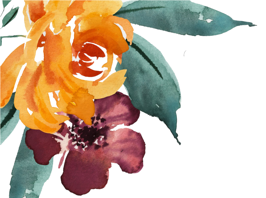 Red Flower Watercolor - Watercolor Red Flower Png (1024x681), Png Download