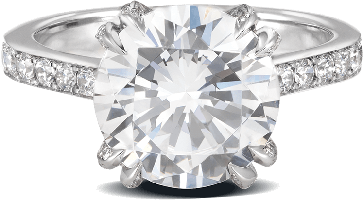 Ring Rose Bud Platinum Diamonds Solitaire Steven Kirsch (1000x1000), Png Download