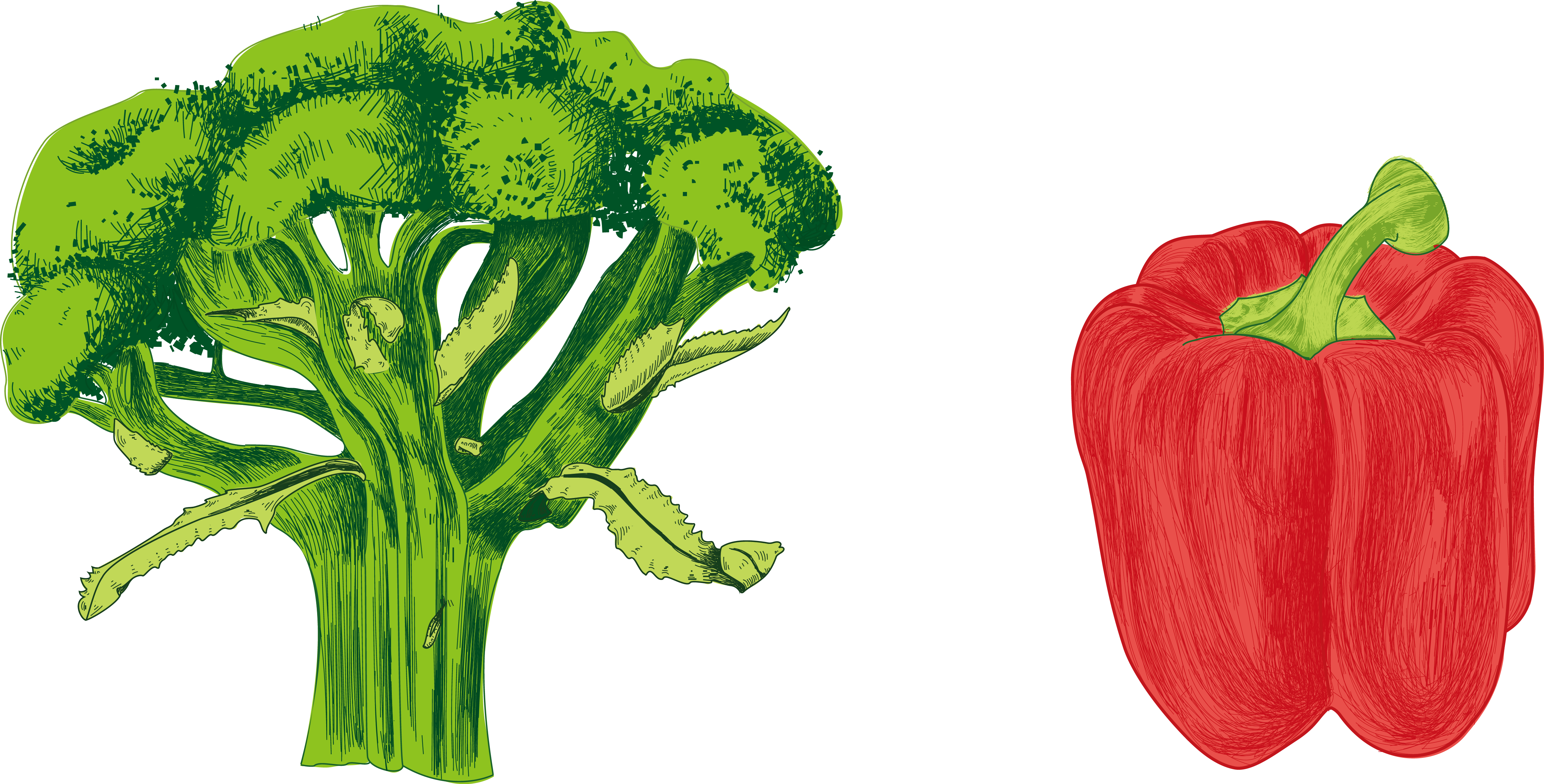 Chili Pepper Bell Cayenne - Watercolor Vegetables Png (4776x2426), Png Download