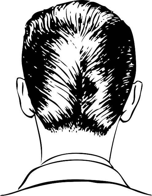 Back, View, Duck, Hair, Cut, Automatic, Ass, Haircut - Drawing Of The Back Of A Head (496x640), Png Download