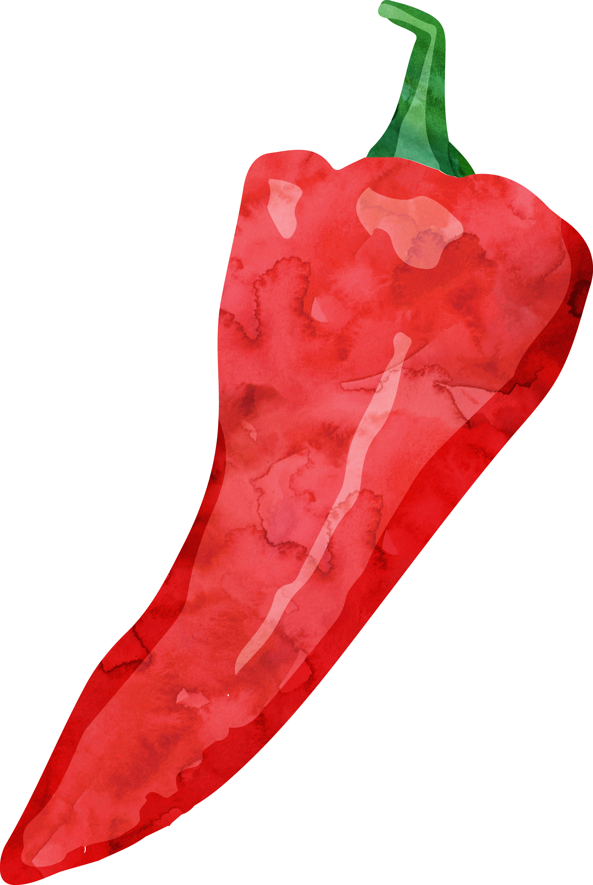 Png Royalty Free Stock Tabasco Pepper Cayenne Watercolor - Watercolor Cut Jalapeno (2010x3000), Png Download