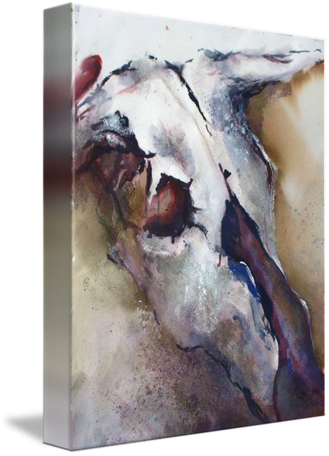"the Skull" By Connie Porter, Ferndale // Watercolor - Gallery-wrapped Canvas Art Print 11 X 14 Entitled The (470x650), Png Download
