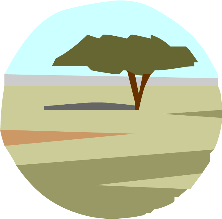 Savanna - Tropical Rainforest (880x880), Png Download