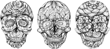 Drawn Skull Transparent Skull - Sugar Skull Black And White (500x243), Png Download