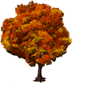 Marketplace Red Fall Beech Tree-icon - Twitter (412x412), Png Download