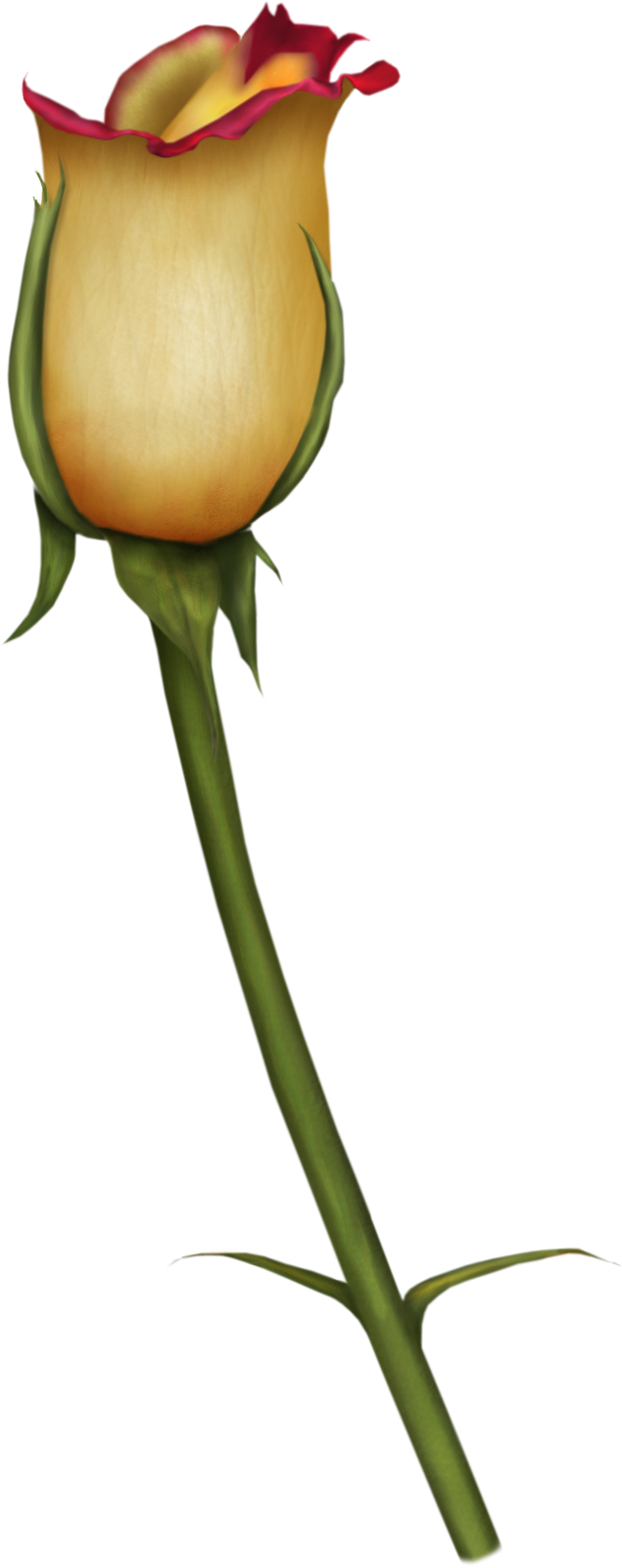 For Mobile - Rose (635x1600), Png Download