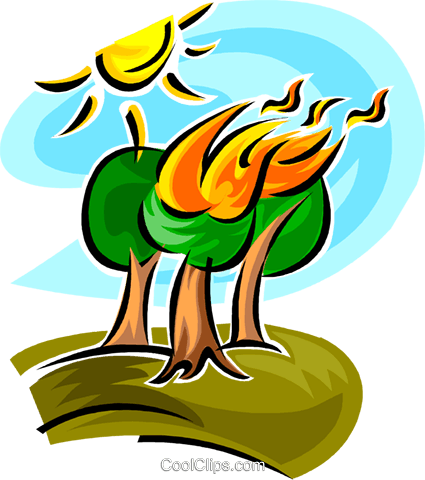 Forest Fire - Forest Fire Clip Art (425x480), Png Download