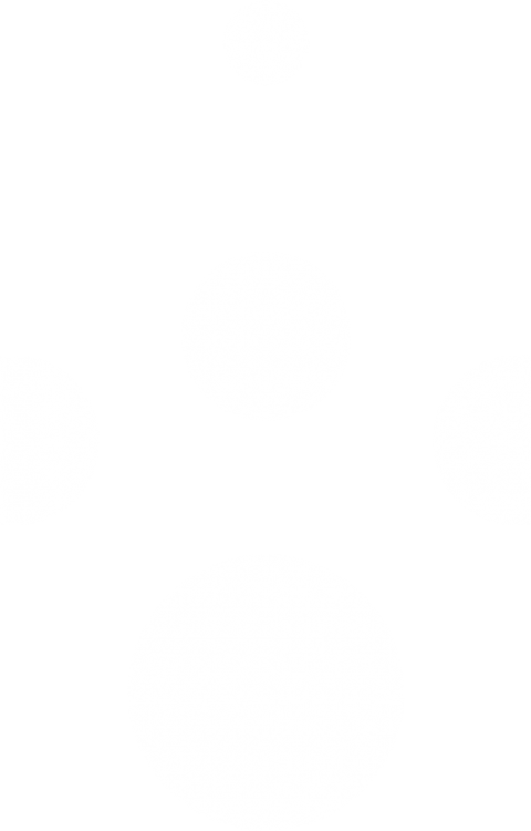 Sunburst White Big Trans - Circle (480x750), Png Download