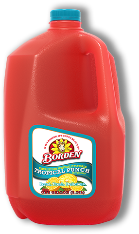 Borden Punch, Citrus - 1 Gl (3.78 Lt) (380x500), Png Download