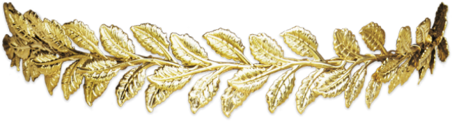 Gold Leaf Crown Png (1024x1024), Png Download
