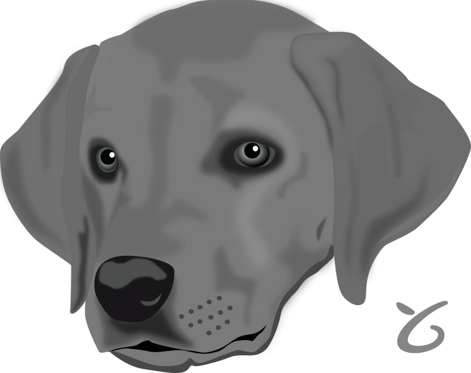 Labrador Retriever Bull Terrier Dalmatian Dog Puppy - Dog Head Clipart (945x750), Png Download