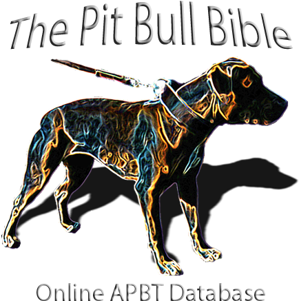 California Jack Pitbull Book (450x450), Png Download