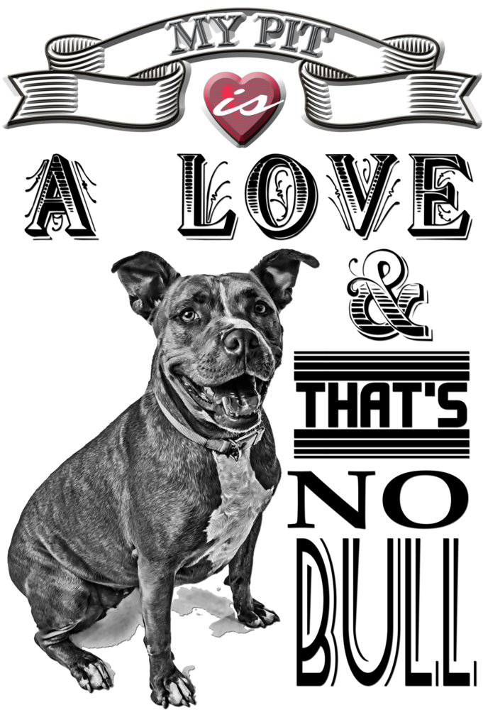 The Story Behind The "my Pit Is A Love" Tee - Animal Planet American Pit Bull Terrier Book (683x1024), Png Download