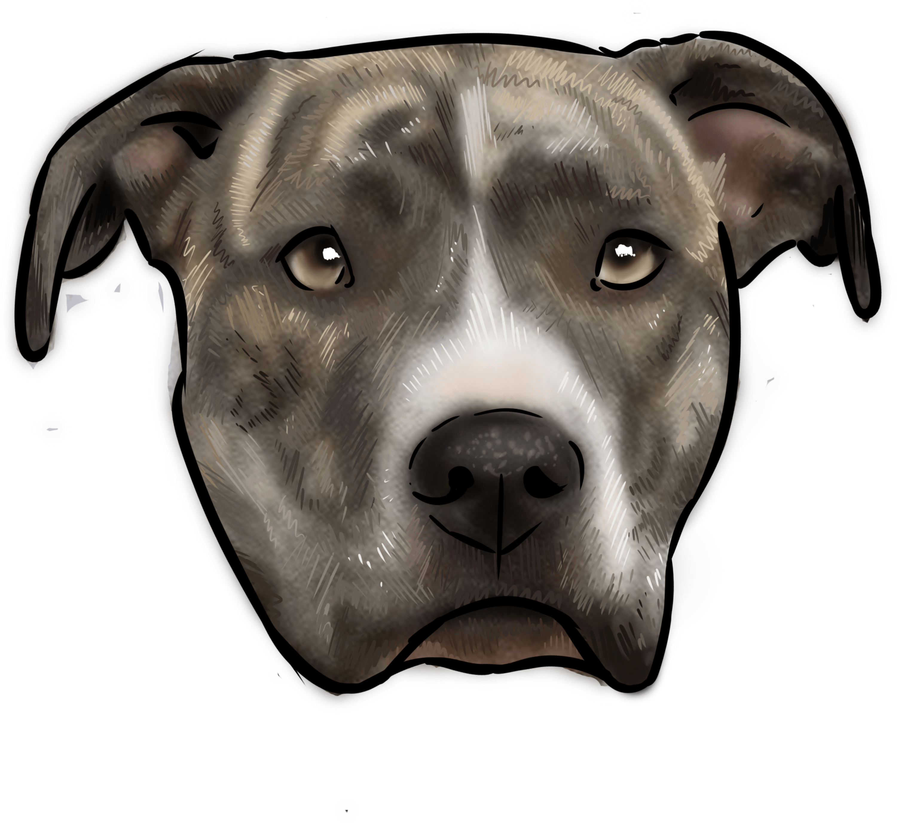The American Staffordshire Terrier, Or The Amstaff, - American Staffordshire Terrier (3000x3000), Png Download