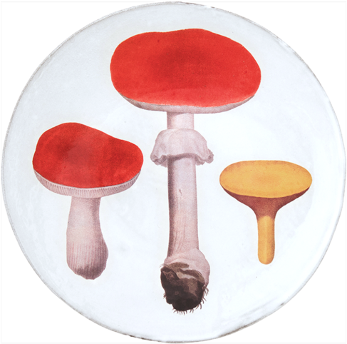 Red Mushrooms Dinner Plate - John Derian (500x500), Png Download