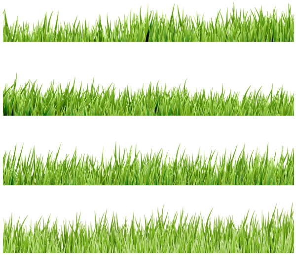 Флора, Зеленая Трава, Green Grass - Herbe Render (600x516), Png Download