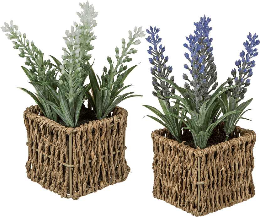 Basket (945x709), Png Download